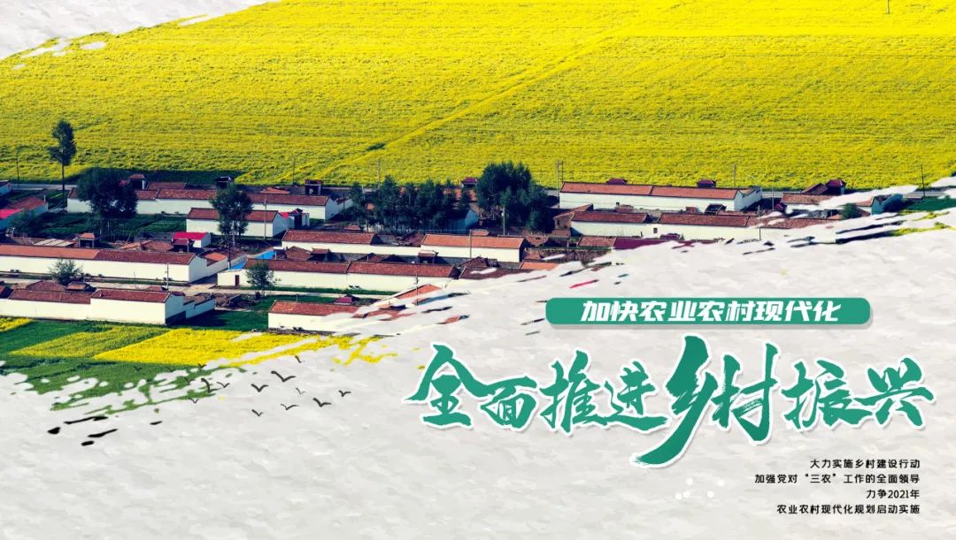 33238e80d2e202197d7f804cefaf45de