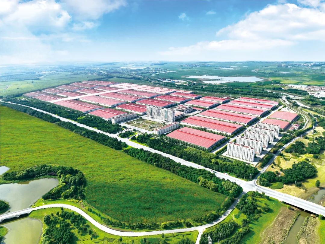 e62ee40d76ec4edec6648e6a3d0c619b